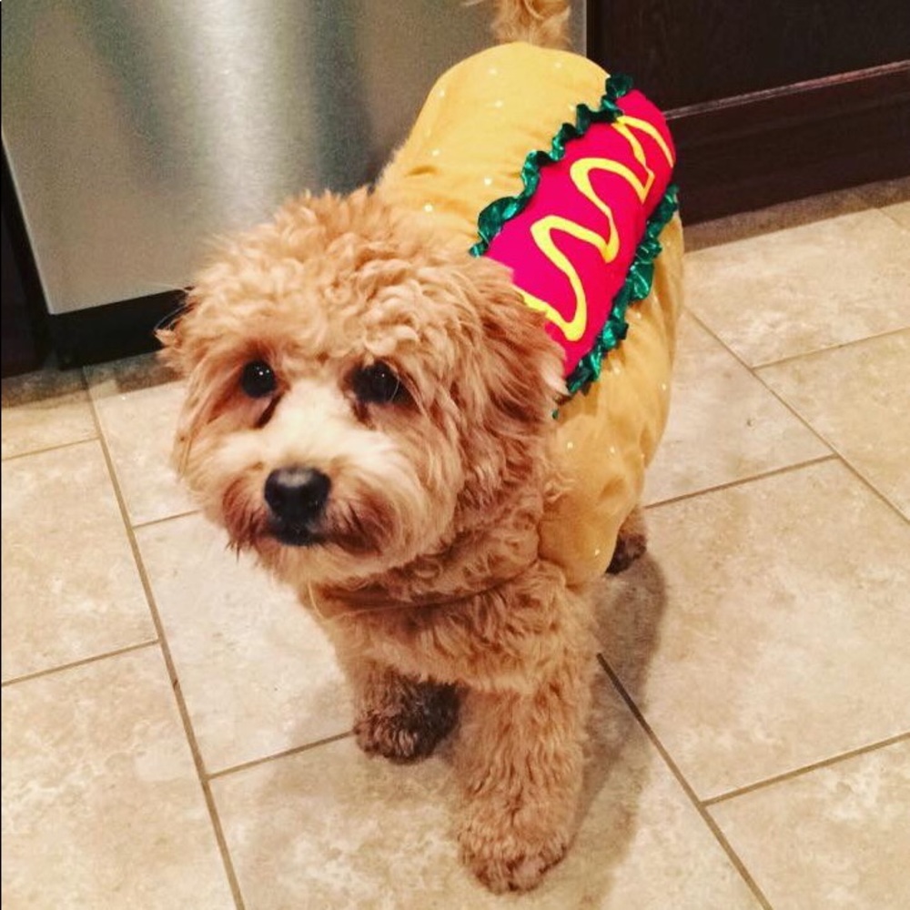 Hot Dog Costume